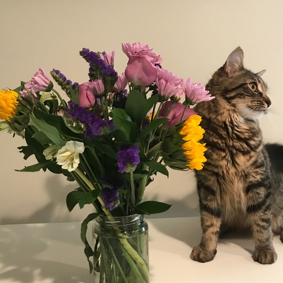 meg_lancaster